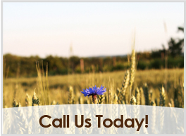 Call Us Today!